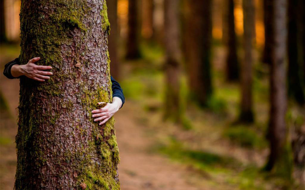 sostenibilidad medio ambiente agloval