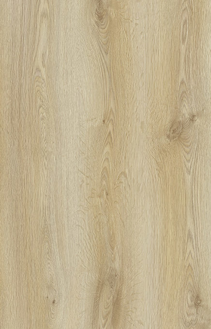 Trend Oak