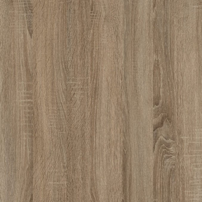 Cambrian Oak