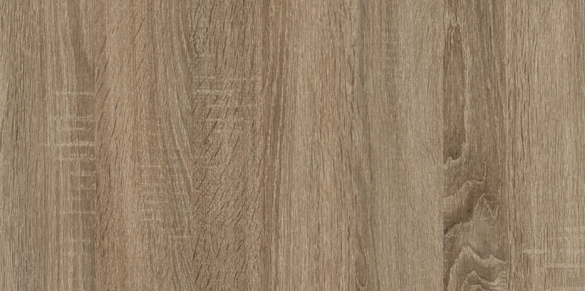 Cambrian Oak