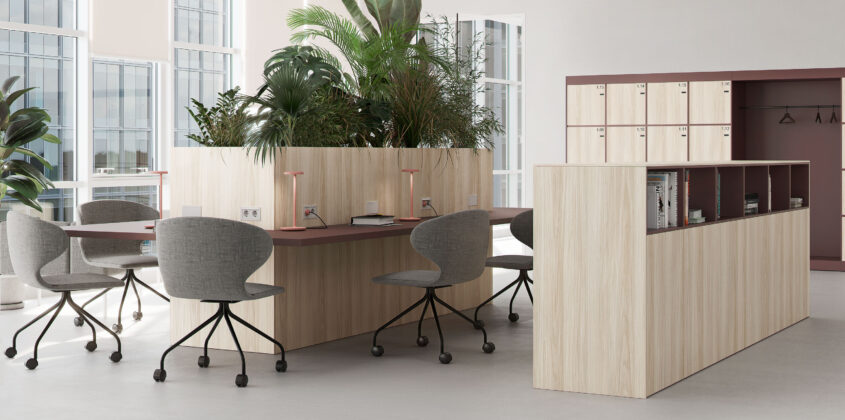 466b-rojo-tassili-balm-room_zoom_2