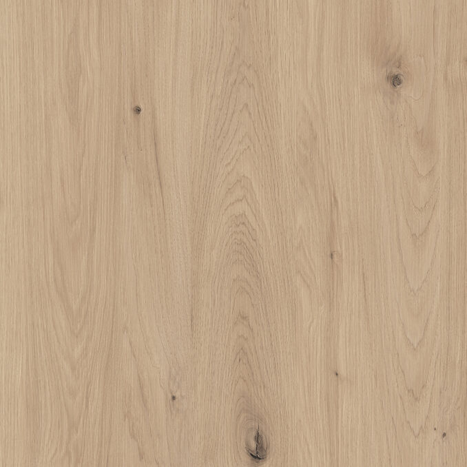 Carya Wood