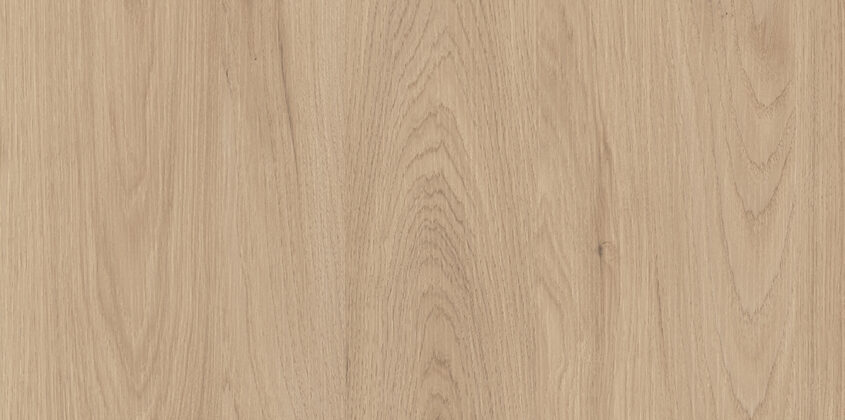 Carya Wood